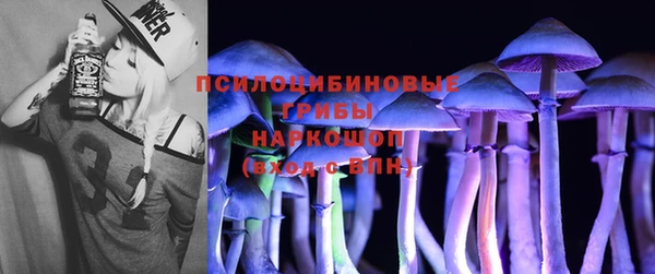 гашиш Богданович