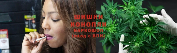 гашиш Богданович