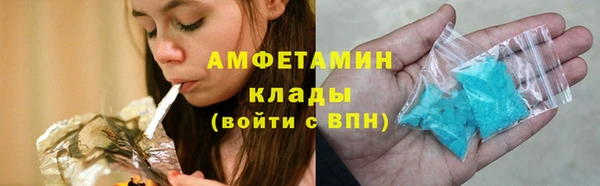 гашиш Богданович