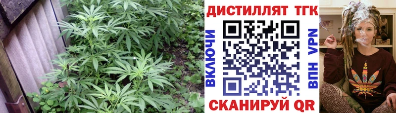 Купить Боровичи Дистиллят ТГК вейп с тгк