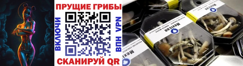 Галлюциногенные грибы GOLDEN TEACHER  Купить закладки  Боровичи 